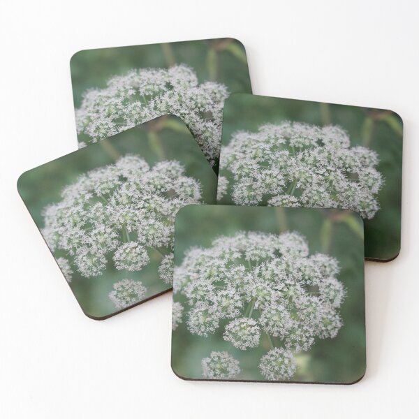 Item preview, White Angelica Flower designed and sold by RT-FlowerShop.