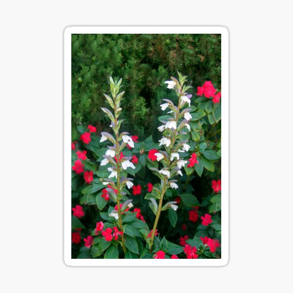 Item preview, Floral Delight  designed and sold by heatherfriedman.