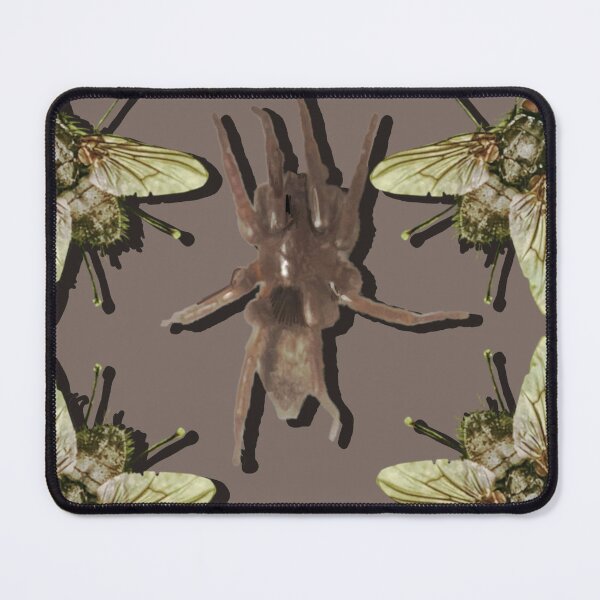 Item preview, Bugs designed and sold by Laura Oldfield.