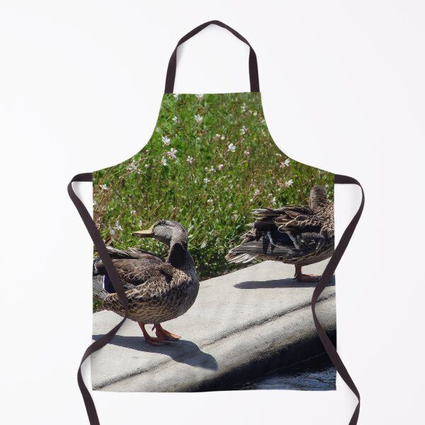 Item preview, Three Feathered Friends designed and sold by heatherfriedman.