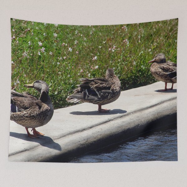 Item preview, Three Feathered Friends designed and sold by heatherfriedman.