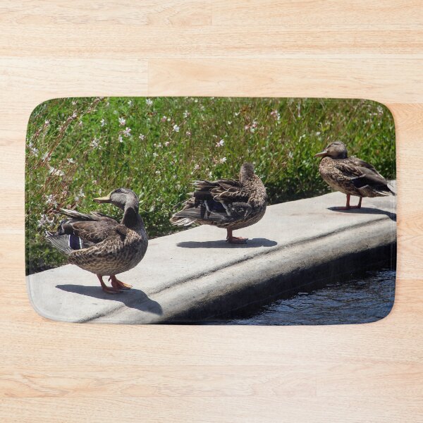 Item preview, Three Feathered Friends designed and sold by heatherfriedman.