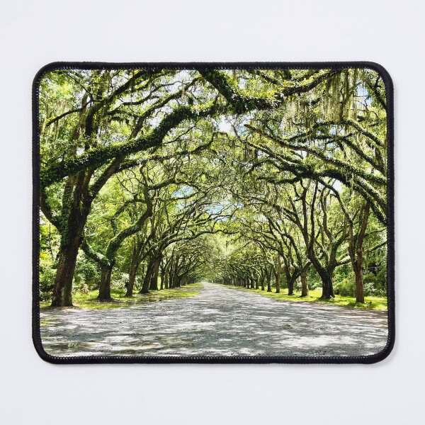 Item preview, Savannah Spanish Moss Alameda designed and sold by Teecha.