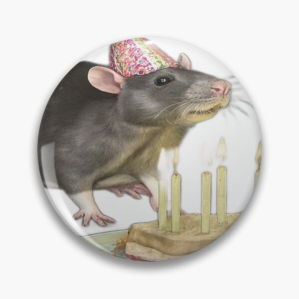 Item preview, Happy Birthday Rat Party designed and sold by ValsaArt.
