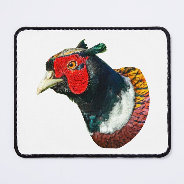 Item preview, Male Ring-necked Pheasant designed and sold by Dalyndigital Photography.