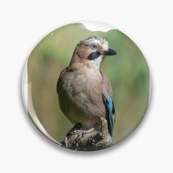 Item preview, Sgrech Y Coed/ Jay designed and sold by leebee101.