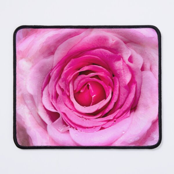 Item preview, BIG Pink Rose X311 designed and sold by RichFrancoCars.