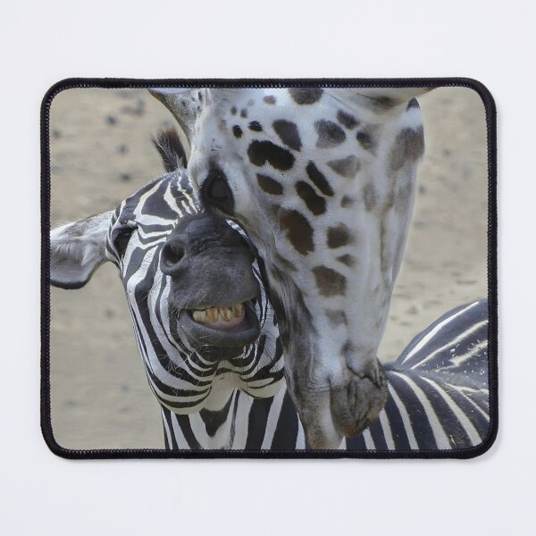Item preview, The Zebra and The Giraffe - Friends designed and sold by Very Peculiar.