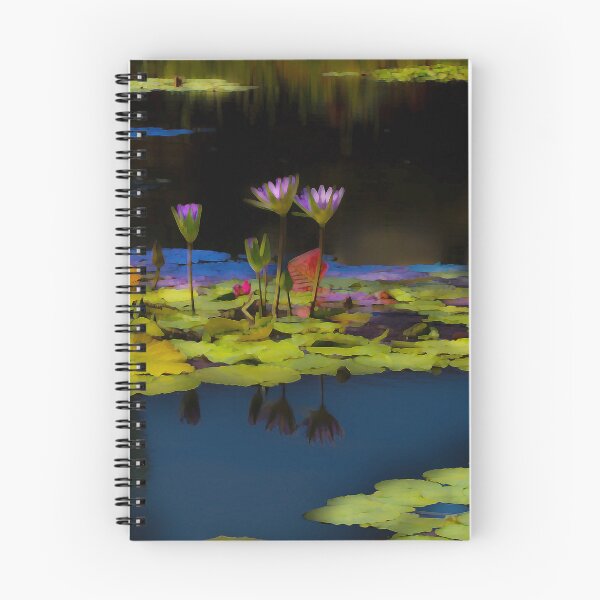 Item preview, Painting of Balboa Park designed and sold by KOKOPEDAL.