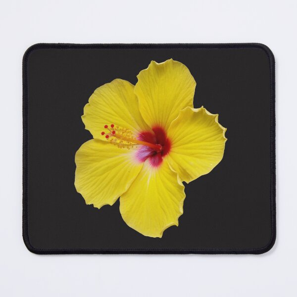 Item preview, Yellow Hibiscus designed and sold by boldtvillemayor.