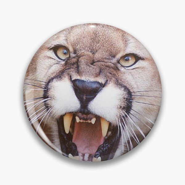 Item preview, BIG ANGRY CATS designed and sold by THE AMERICAN TEEVANGELIST.