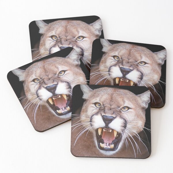 Item preview, BIG ANGRY CATS designed and sold by THE AMERICAN TEEVANGELIST.