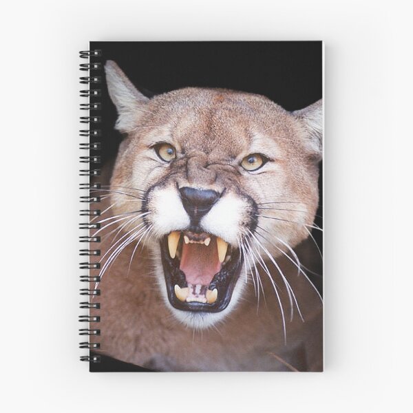 Artikelvorschau, BIG ANGRY CATS entworfen und verkauft von THE AMERICAN TEEVANGELIST.