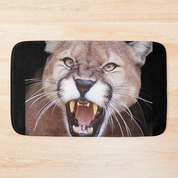 Item preview, BIG ANGRY CATS designed and sold by THE AMERICAN TEEVANGELIST.