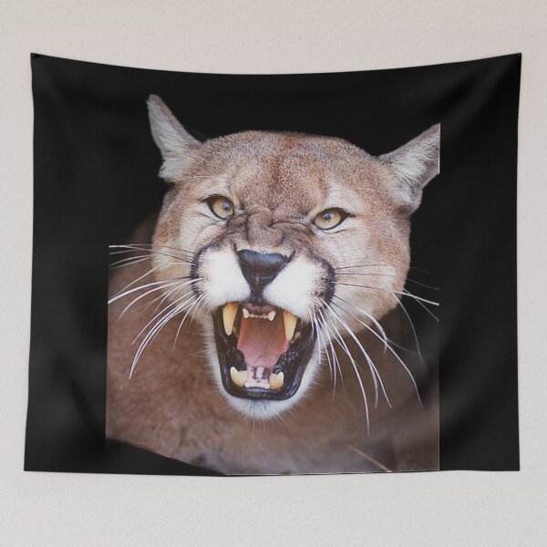 Item preview, BIG ANGRY CATS designed and sold by THE AMERICAN TEEVANGELIST.