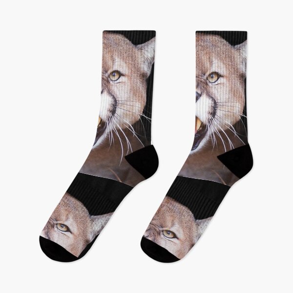 Item preview, BIG ANGRY CATS designed and sold by THE AMERICAN TEEVANGELIST.