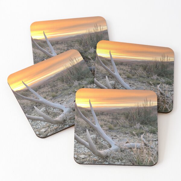 Item preview, Shed antler mule deer designed and sold by ShedHunters.