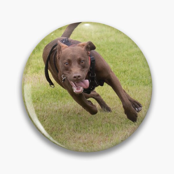 Item preview, Parklife designed and sold by Woodside-RSPCA.