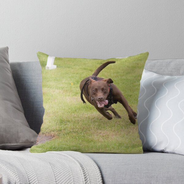 Item preview, Parklife designed and sold by Woodside-RSPCA.