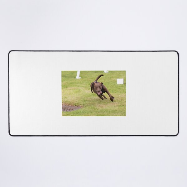 Item preview, Parklife designed and sold by Woodside-RSPCA.