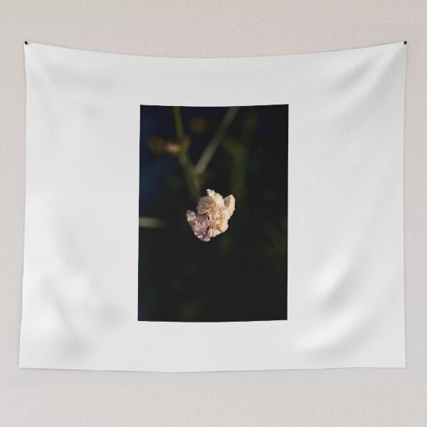 Item preview, A lonely flower about to blossom designed and sold by colliophoto.