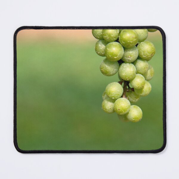 Item preview, White Grapes on the Vine designed and sold by Compass and a Camera.