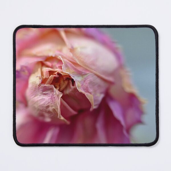 Item preview, Capturing Beauty in Decay designed and sold by Compass and a Camera.