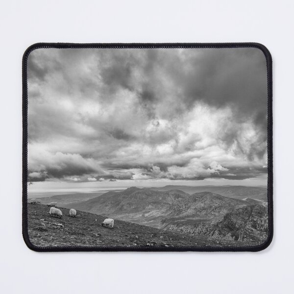 Item preview, Mourne Mountain Sheep designed and sold by Nigel R Bell Photography.