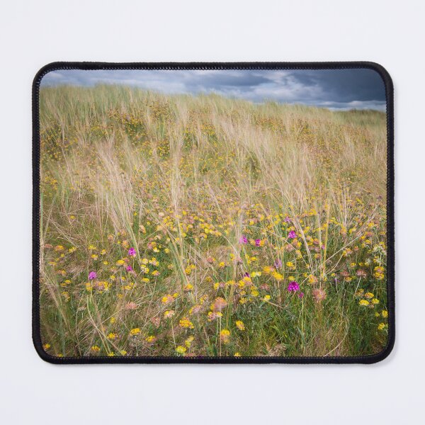 Item preview, Asphodel and Orchids designed and sold by Nigel R Bell Photography.