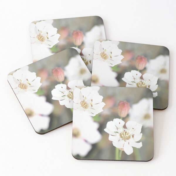 Item preview, Sea Campion on the Coast, Anglesey, North Wales designed and sold by Page Photography.