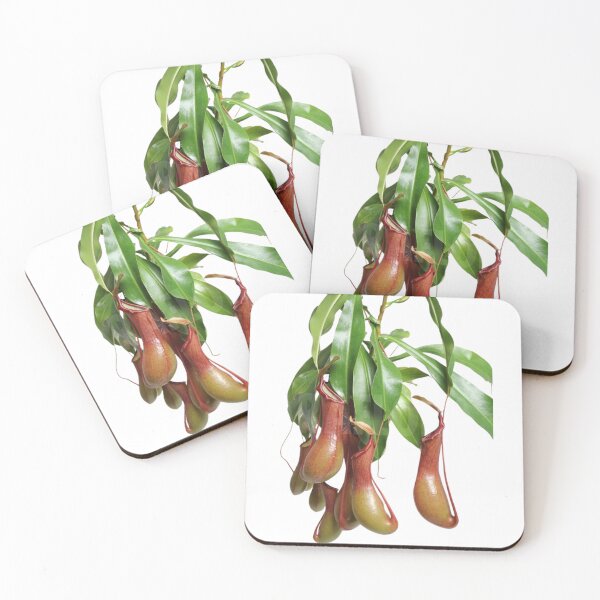 Item preview, Carnivorous plant designed and sold by PatronesKawai.