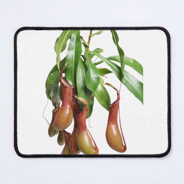 Item preview, Carnivorous plant designed and sold by PatronesKawai.