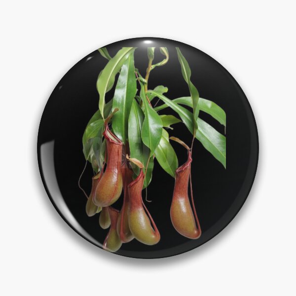 Item preview, Black copy of Carnivorous Plant designed and sold by PatronesKawai.