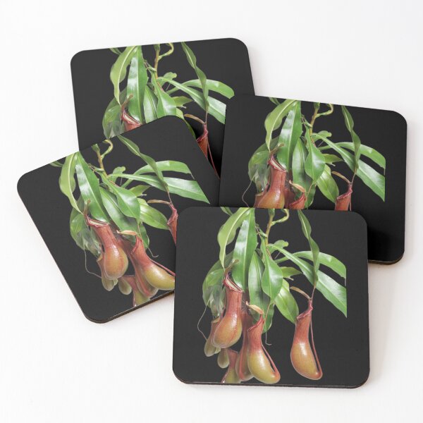 Item preview, Black copy of Carnivorous Plant designed and sold by PatronesKawai.