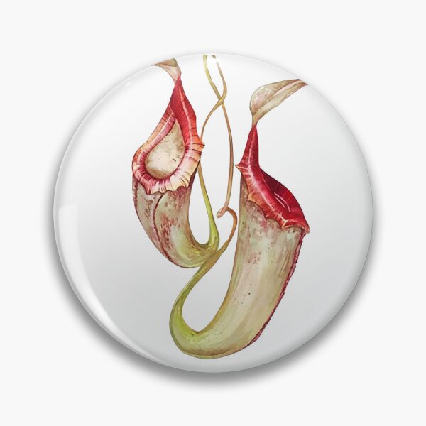 Item preview, Carnivorous Plant designed and sold by PatronesKawai.