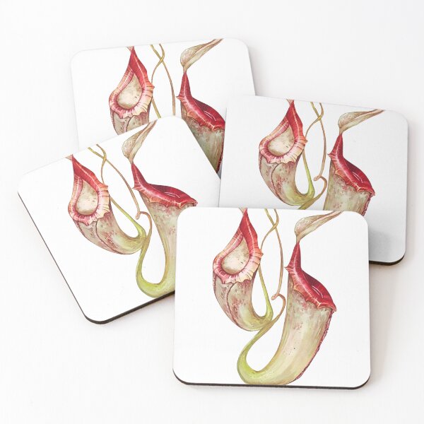 Item preview, Carnivorous Plant designed and sold by PatronesKawai.