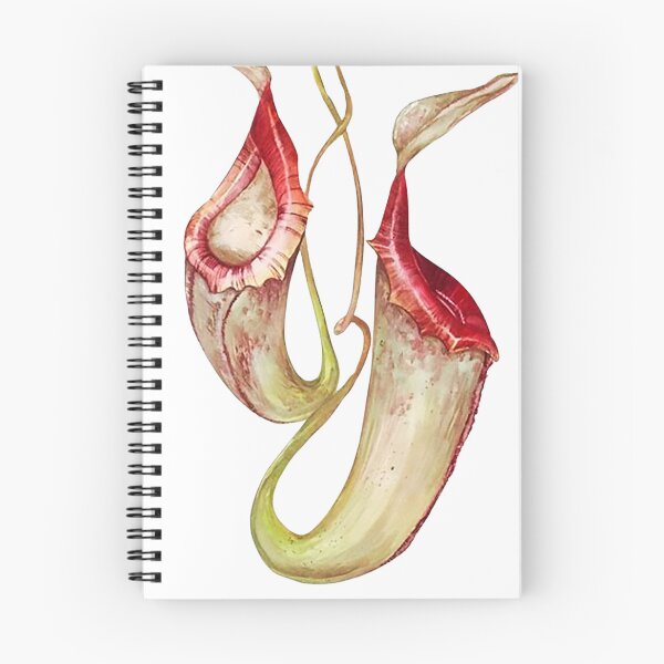 Item preview, Carnivorous Plant designed and sold by PatronesKawai.