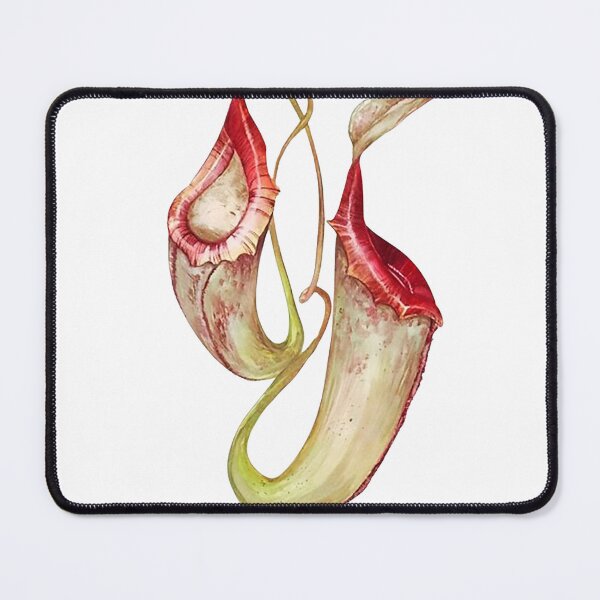Item preview, Carnivorous Plant designed and sold by PatronesKawai.