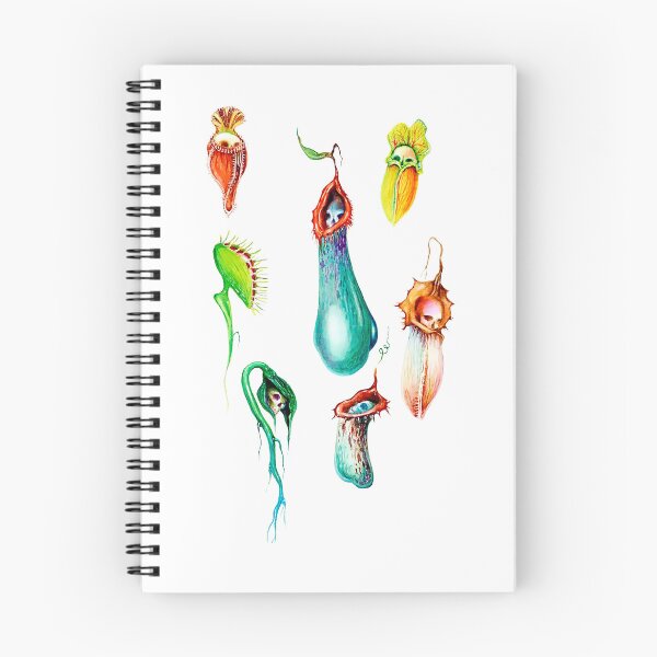 Item preview, Carnivorous plant designed and sold by PatronesKawai.