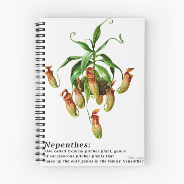 Item preview, Carnivorous plant designed and sold by PatronesKawai.