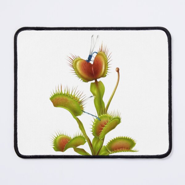 Item preview, Carnivorous plant designed and sold by PatronesKawai.