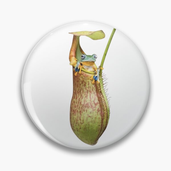 Item preview, Carnivorous plant designed and sold by PatronesKawai.