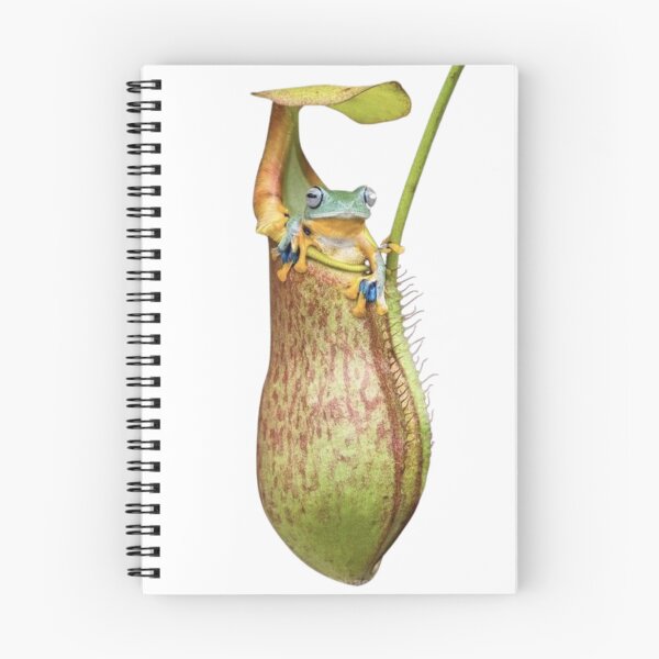Item preview, Carnivorous plant designed and sold by PatronesKawai.