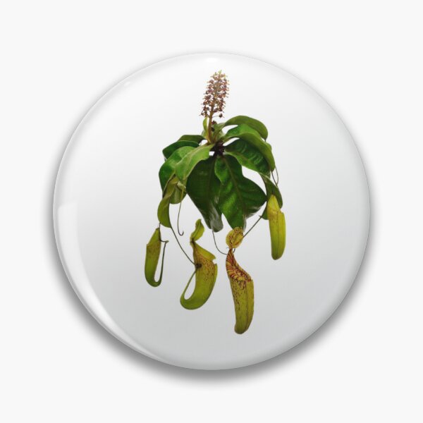 Item preview, Carnivorous plant designed and sold by PatronesKawai.