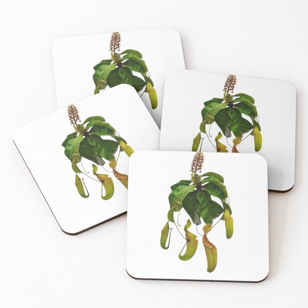 Item preview, Carnivorous plant designed and sold by PatronesKawai.