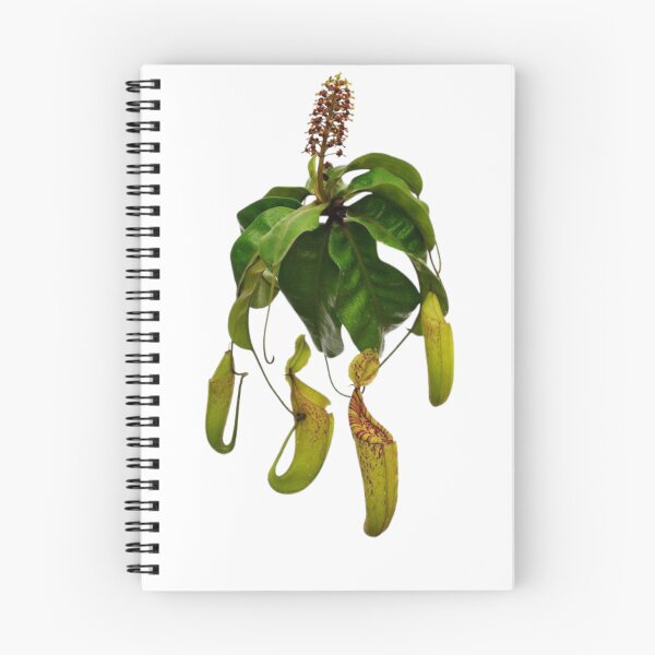 Item preview, Carnivorous plant designed and sold by PatronesKawai.