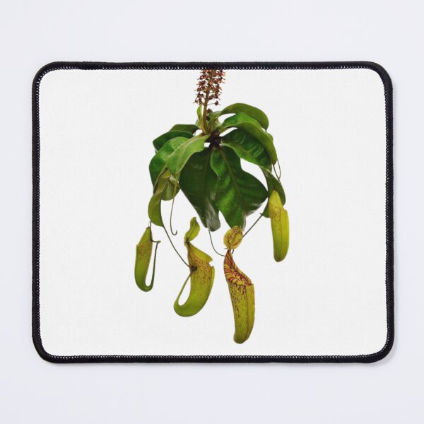 Item preview, Carnivorous plant designed and sold by PatronesKawai.
