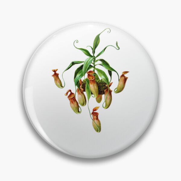 Item preview, Carnivorous plant designed and sold by PatronesKawai.