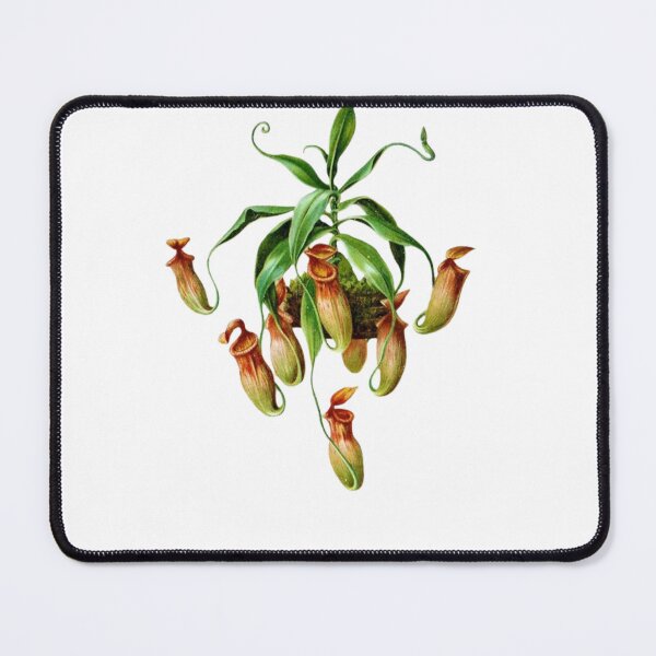 Item preview, Carnivorous plant designed and sold by PatronesKawai.
