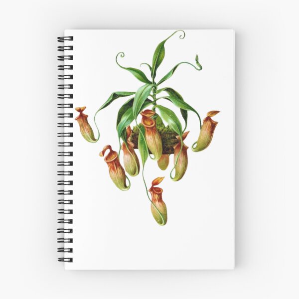 Item preview, Carnivorous plant designed and sold by PatronesKawai.